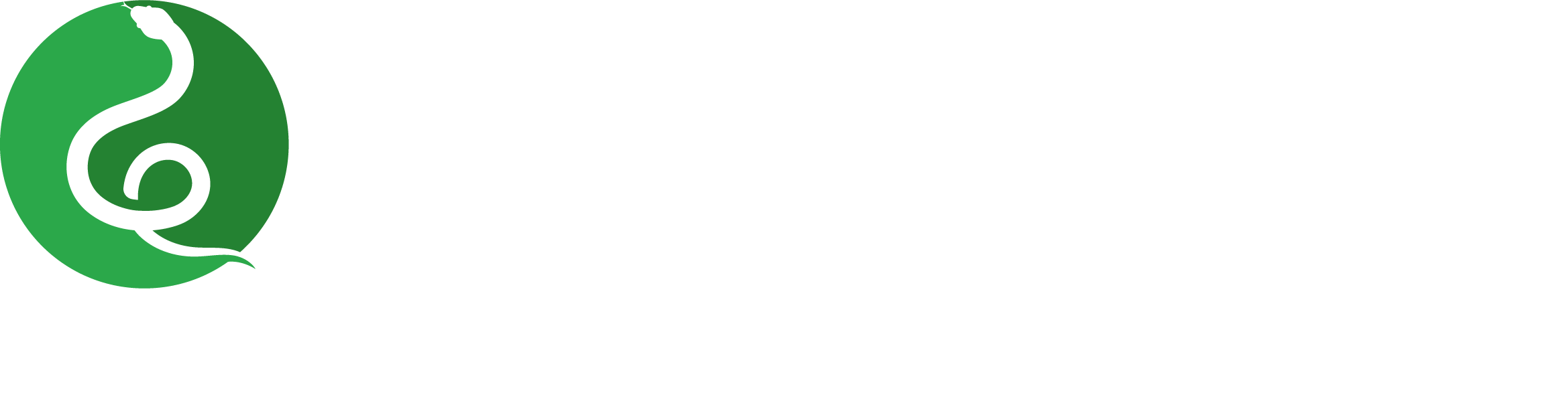 LOGO MAMBA LABS N